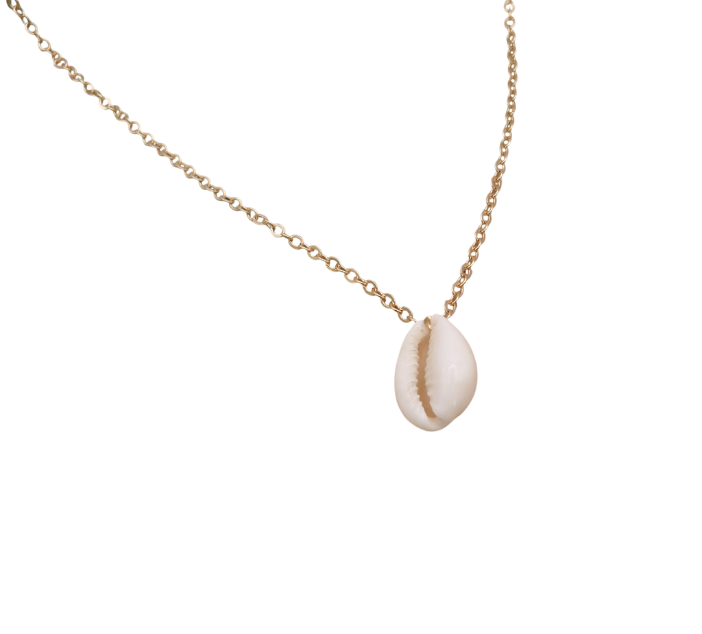 Waterpoof necklace with a genuine cowrie shell charm in stainless steel.