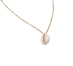 Waterpoof necklace with a genuine cowrie shell charm in stainless steel.
