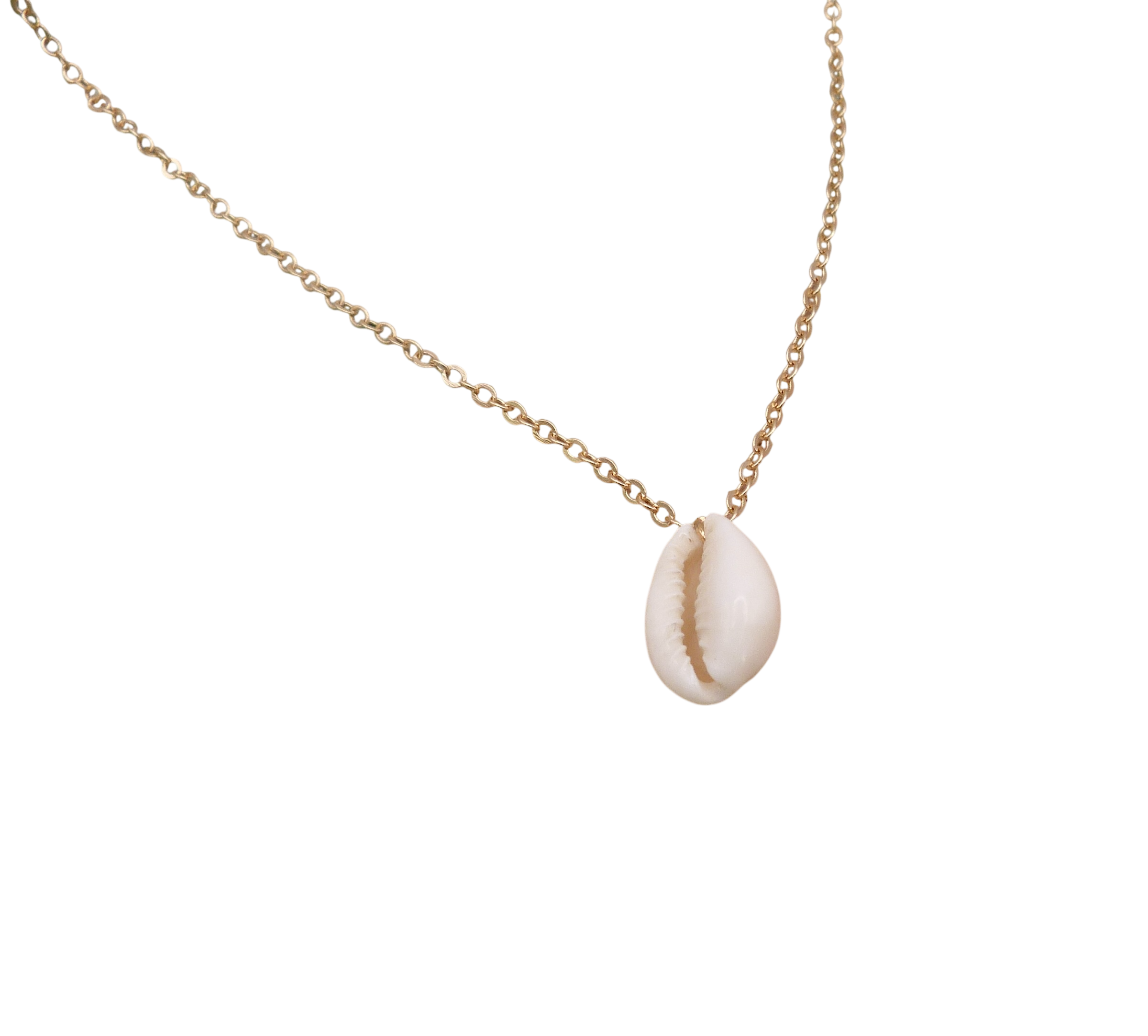 Waterpoof necklace with a genuine cowrie shell charm in stainless steel.